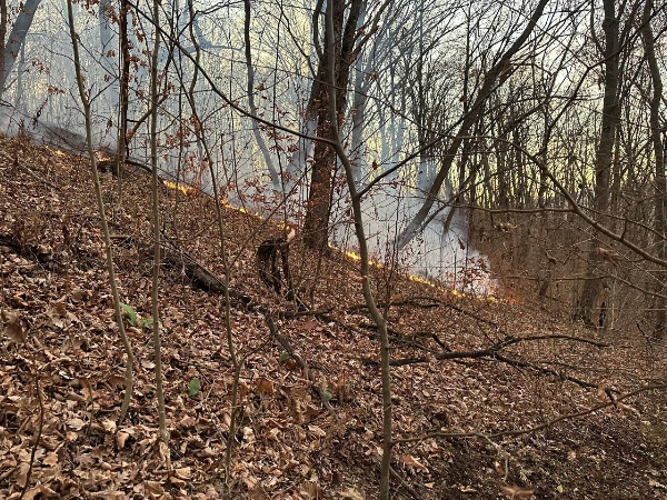В Джейрахском районе на территории, прилегающей к лесному фонду, было зафиксировано возгорание сухой растительности.

Для его ликвидации привлечены силы Сунженского и Назрановского лесопожарных центров, лесничеств и егерского состава.

Всего в работах задействовано около 150 человек и 20 единиц специализированной техники.

На месте также работает министр природных ресурсов РИ Микаил Мизиев.

В настоящее время специалисты проводят опашку периметра для создания минерализованной полосы.

Работы ведутся с применением ранцевых огнетушителей.

Распространение огня на земли лесного фонда не допущено.
