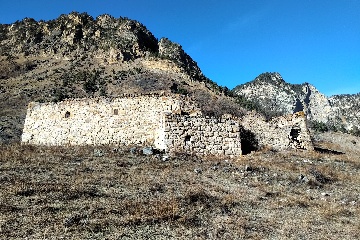 Тори