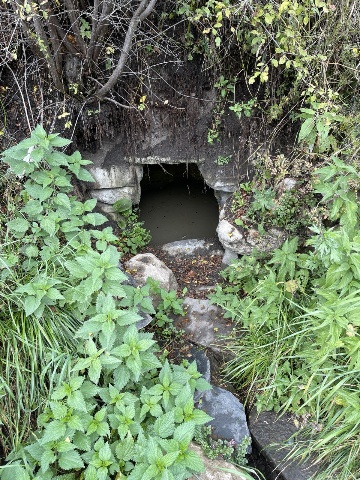 Родник в Тумги