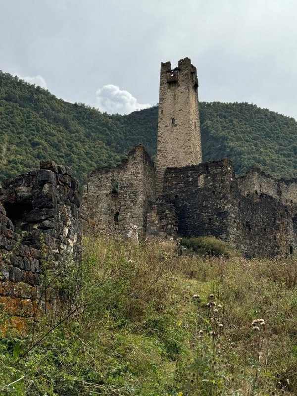 On September 18, 2024, the acting director of the museum-reserve Sampiev A.A., together with the staff, made an inspection trip to the Tsori tower complex as part of the work plan.

Medieval complex "Tsori" - one of the largest tower complexes - is located in the eastern part of the Dzheyrakh district of the Republic of Ingushetia, on the border with Chechnya and Georgia, on a high mountain ledge. Its more accurate location is the Guloikhi Gorge. There is a tower complex at an altitude of 1,170 m.

At the moment, there are three battle towers, more than three dozen residential, 12 crypt burial grounds, early Muslim land burials, an early Muslim mosque built, according to studies, on the remains of a destroyed residential tower, an ancient mausoleum, and traces of two river mills were found. If you look closely, on the walls of the towers you can see interesting ornaments created from stones of different colors. There is a lot of evidence that artisans and architects who lived in the fortress were famous for their art throughout Ingushetia.

The battle towers of the castle ensemble are quite high, although not completely preserved. You can still see window openings, loopholes, arched ceilings and nothing like salt symbols, telling about the traditions of ancient Ingush. In general, despite the huge age of the buildings, many ornaments and decorative fragments have been preserved on the buildings.

The roof of the battle tower is flat with teeth at the corners, topped with conical stones. In Tsori, the towers and sakli of almost all the villages adjoin each other, piling up with tiers and forming one solid, strongly fortified castle.

Crypts are scattered near the village in several places. They are made of uncooked stones, on lime, have a yellow lining and in each tier of lazes - often rectangular, less often with a semicircular vault. More than half of them remained at full height. And the crypt that collapsed in 2022 was restored last autumn.

Employees of the institution on the spot collected field material, examined the safety of monuments, made photofixation.

On all objects of cultural heritage of the complex will be drawn up acts of technical condition and sent to higher organizations.