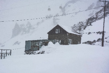 Приют Экодом