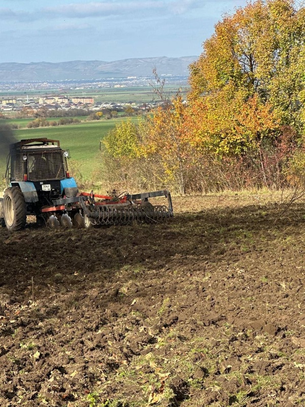 В питомнике Сунженского лесничества завершена подготовка 2 га почвы для будущих лесов.

Спецтехника провела вспашку и нарезку борозд - теперь семенам будет легче укорениться и пойти в рост.

Участок обладает плодородной почвой и идеальными условиями для роста растений.

Все работы выполнены силами сотрудников Сунженского и Назрановского лесопожарных центров. 

Теперь начинается этап выращивания посадочного материала для новых лесов республики.
