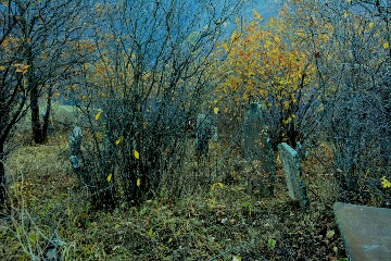 Раннемусульманское захоронение Ведучи