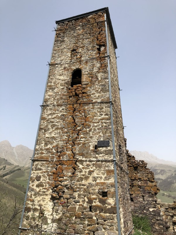 Башенный комплекс «Аршауг» расположен в Джейрахском районе, в 0,3 км западнее Цори, на гребне горного кряжа, высотой 40-50 метров.

Комплекс состоит из сильно поврежденных и полуразрушенных 1 боевой и 7 жилых башен, а также каменной ограды, 6 надгробных сооружений, 2 оборонительных стен, 3 коллективных усыпальниц, стел и руин каменных построек.

Боевая и жилые башни ранее, с помощью каменной оборонительной стены, были объединены в единый замковый комплекс периода позднего средневековья.

Боевая башня в плане прямоугольная, пятиэтажная, имела плоскую кровлю с зубчатым завершением, сохранилась на всю высоту, ориентирована на запад.

Жилые башни в основании прямоугольные, некогда трехэтажные, с плоской кровлей и высоким парапетом. На них сохранились разнотипные дверные и оконные проемы, линейные углубления для деревянных настилов, а также ниши, тайнички и другие конструктивные детали.

С холма, на которой расположен Аршауг открывается живописный вид на башенный комплекс Цори.

Аршауг – выявленный объект культурного наследия республики Ингушетии, находится в границах территории Джейрахско-Ассинского музея-заповедника, подлежит государственной охране.
