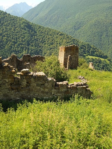 Тарш