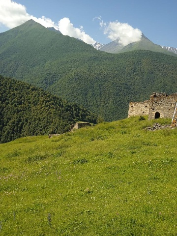 Тарш