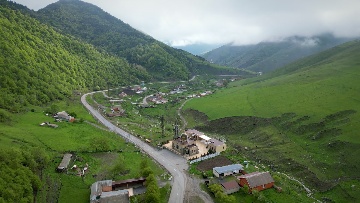 Гули