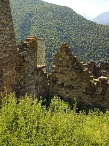 Тарш