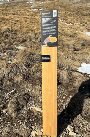 Информационный столб