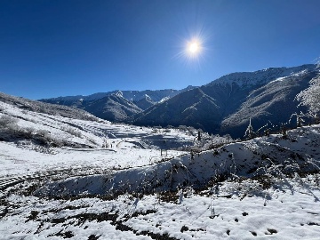 Ведучи