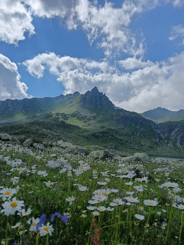 Каменное сооружение