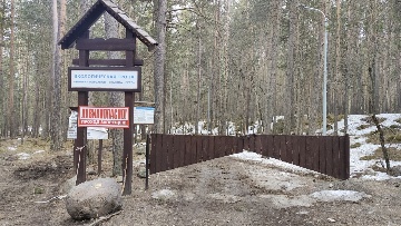 Ворота