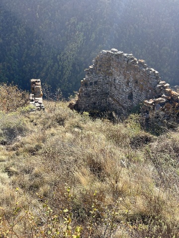 Абали