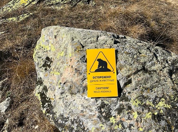 Знак «Осторожно! Дикие животные»
