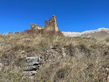 Кашети