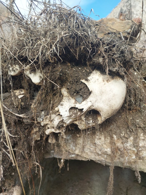 Достаточно часто "АСМ Групп" ставятся нестандартные исследовательские задачи, связанные иногда в том числе и с древними захоронениями. Пару лет назад архитекторы и археологи "АСМ Групп" исследовали пещеры и захоронения в темных и длинных пещерах Псково-Печерского монастыря, до этого несколько раз исследовались старинные кладбища рядом с храмами на территории Петербурга и Москвы. Сегодня компания работает над изучением древних монастырей Пскова, а также средневековых склепов Северного Кавказа.

Что странно - при проводимых "АСМ Групп" работах, иногда встречаются крайне заинтересованные старыми захоронениями люди, совершенно не имеющие отношения к проводимым исследованиям. Вечно и горячо интересующиеся останками и вероятно загробной жизнью.

"АСМ Групп" изучило вопрос нестандартного интереса к останкам и вот, что интересно:

Тафофилия - паталогический интерес к кладбищенской тематике. Пациент может заниматься углубленным изучением похоронных обрядов, задаваться различными вопросами, связанными со смертью, собирать фотографии надгробий или эпитафии. Возможен частый просмотр фильмов и чтение книг соответствующей тематики. Иногда наблюдается регулярное посещение кладбищ, не связанное с уходом за могилами родственников. Выраженность симптоматики существенно различается - от умеренно культурного интереса до одержимости, охватывающей все стороны жизни.