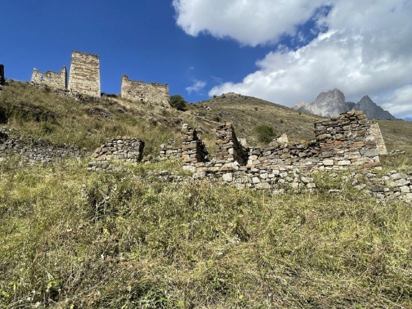 Раннемусульманские мечети в горной Ингушетии имеют немаловажное значение для истории и культуры региона, поэтому нашим учреждением проводится активная работа по их учету, инвентаризации и включения в реестр выявленных объектов культурного наследия.
         
О том, как в Ингушетию проник ислам, впервые в истории упоминалось в восьмидесятых годах 16 века. Грузинский царевич Вахушти Багратиони в своей книге «География Грузии», написанной на основе данных собранных в конце семнадцатого века совершенно однозначно относит жителей села Ангушт к мусульманам, и даже к суннитам.
         
В семидесятых-девяностых годах восемнадцатого века в Ингушетии преобладали мужские и женские мусульманские имена.  Были даже зафиксированы факты, что Ислам принимали как отдельные жители Ингушетии, так и целые группы ингушей.
         
О том, что предки ингушей отдавали предпочтение исламу еще в конце восемнадцатого века писал Пётр Паллас. Археолог Чахкиев представлял данные, из которых следует, что на территории Ингушетии в горных ее районах был обнаружен ряд захоронений, которые относятся к концу восемнадцатого века. Эти захоронения имеют все признаки захоронений, совершаемых по правилам погребальной обрядности мусульман, характерные для Ислама.  
         
Процесс исламизации народа Ингушетии проходил в несколько этапов и был сложным, затронувшим все сферы жизни , и завершился лишь после того, как на политической арене появился такой человек, как устаз Кунта-Хаджи Кишиев, который повел активную пропаганду ислама среди ингушей.

Как было сказано ранее, в результате проведенных полевых работ сотрудниками музея-заповедника выявлены раннемусульманские мечети на территории башенных комплексов Эгикал, Хамхи, Фалхан, Лялах, Верхний Пялинг, Нижний Кяхк, Цори, Гершки, Гаракх, Керби и т.д. Определены локации этих объектов, произведены замеры и фотофиксация. Техническое состояние некоторых из них крайне руинированное, встречаются руинированные постройки с сохранением основания, а также частично разрушенные с возможностью полного восстановления.
         
Эти старинные мечети были разрушены в период выселения нашего народа в Казахстан и Среднюю Азию. Вплоть до 1944 г. в них совершали намаз, мархи - 1ид, г1урбан - 1ид и рузба наши отцы-горцы.
        
Общими усилиями для нас важно сохранить эти исламские святыни, ведь это не только памятники археологии и архитектуры, но также, история нашего народа и нашей религии.