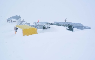 Приют Ветер