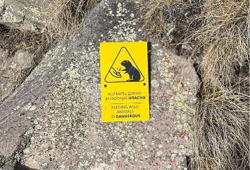 Знак «Не кормить диких животных»