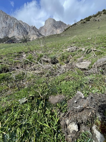 Родник в Нижнем Карт