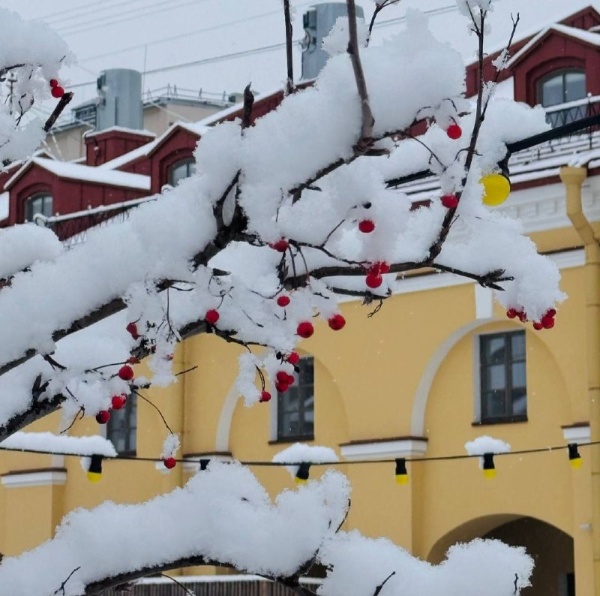 Вот так замечательно сегодня выглядит внутренний двор Никольских рядов - объекта культурного наследия федерального значения "Никольский рынок" на Садовой улице, 62 в Петербурге.

Совместный проект - "Литейная часть 91" и "АСМ Групп".