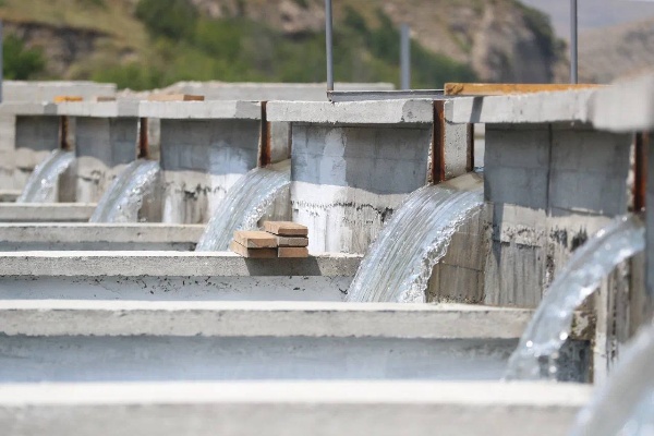 В с.п. Джейрах активно идет строительство современного товарно-форелевого хозяйства «Обанхи». Проект был одобрен инвестиционным советом, который лично возглавляю. Общий объем вложений 100 млн рублей. Это первый в нашем регионе комплекс такого масштаба по выращиванию форели и семги.

Комплекс возводится на участке вблизи реки Армхи. Планируемый объём производства составит от 500 до 800 тонн рыбы в год.

Переход предприятия на полную мощность снизит зависимость Ингушетии от поставок рыбы из других регионов.