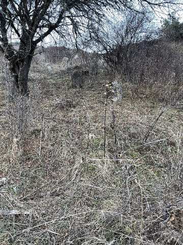 Раннемусульманское кладбище №3 в Тумги 