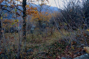 Раннемусульманское захоронение Ведучи