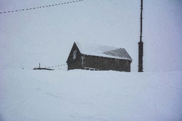 Приют Экодом