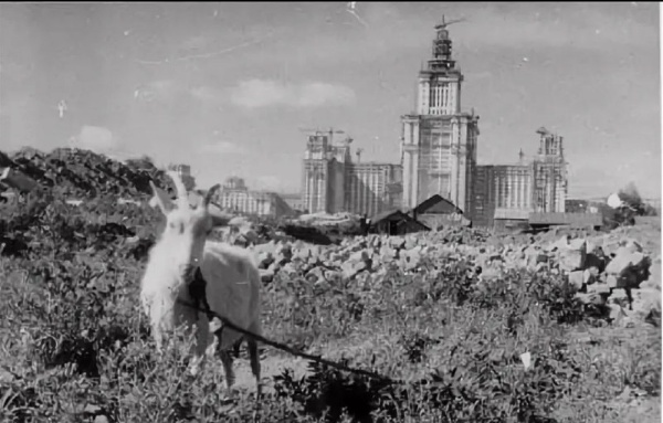 Уже исторические фотографии Московского государственного университета на Воробьевых горах в момент строительства и сразу после его окончания. А сегодня с участием "АСМ Групп" уже проходит его реставрация как объекта культурного наследия.