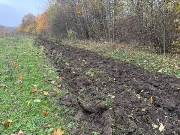 В питомнике Сунженского лесничества завершена подготовка 2 га почвы для будущих лесов.

Спецтехника провела вспашку и нарезку борозд - теперь семенам будет легче укорениться и пойти в рост.

Участок обладает плодородной почвой и идеальными условиями для роста растений.

Все работы выполнены силами сотрудников Сунженского и Назрановского лесопожарных центров. 

Теперь начинается этап выращивания посадочного материала для новых лесов республики.
