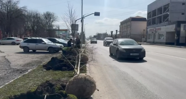 В Назрани продолжаются работы по благоустройству и озеленению.

На улице Муталиева, в районе стоянки у городской больницы, ведется обустройство общественного пространства.

Уже высажены молодые липы, которые заметно преображают территорию и формируют более комфортную среду.

Работы продолжаются — впереди асфальтирование участка и устройство тротуара. Благоустройство таких территорий делает город более удобным и ухоженным для жителей.