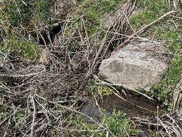 Родник в Нижнем Карт