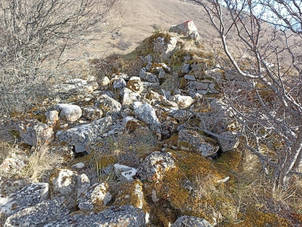 Во время проведения плановых работ по выявлению и учету ранее неучтенных памятников архитектуры, сотрудниками Джейрахско-Ассинского музея-заповедника на территории башенного комплекса «Коали», расположенного на отроге горы Цей-Лоам, в 800 м выше комплекса Герите, обнаружена ранее неучтенная постройка, предположительно, храма-святилища.

Выявленная постройка расположена в западной части комплекса, на пологом горном склоне. Состояние руинированное, сохранилась лишь часть южной стены на высоту до 1 метра. Для получения более детальной информации необходимо произвести археологические работы.

На территории комплекса также находится природный родник, который осенью 2024 г был облагорожен выходцами с этого комплекса.