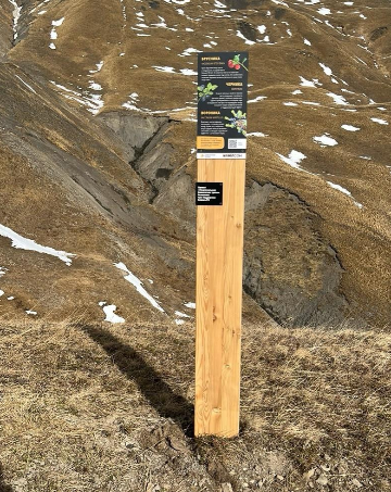 Информационный столб