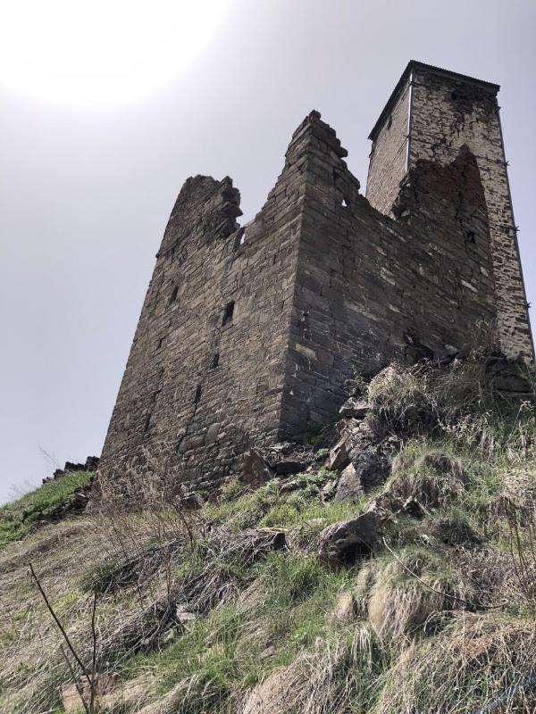 Башенный комплекс «Аршауг» расположен в Джейрахском районе, в 0,3 км западнее Цори, на гребне горного кряжа, высотой 40-50 метров.

Комплекс состоит из сильно поврежденных и полуразрушенных 1 боевой и 7 жилых башен, а также каменной ограды, 6 надгробных сооружений, 2 оборонительных стен, 3 коллективных усыпальниц, стел и руин каменных построек.

Боевая и жилые башни ранее, с помощью каменной оборонительной стены, были объединены в единый замковый комплекс периода позднего средневековья.

Боевая башня в плане прямоугольная, пятиэтажная, имела плоскую кровлю с зубчатым завершением, сохранилась на всю высоту, ориентирована на запад.

Жилые башни в основании прямоугольные, некогда трехэтажные, с плоской кровлей и высоким парапетом. На них сохранились разнотипные дверные и оконные проемы, линейные углубления для деревянных настилов, а также ниши, тайнички и другие конструктивные детали.

С холма, на которой расположен Аршауг открывается живописный вид на башенный комплекс Цори.

Аршауг – выявленный объект культурного наследия республики Ингушетии, находится в границах территории Джейрахско-Ассинского музея-заповедника, подлежит государственной охране.
