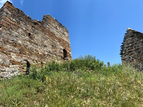 Сотрудники Джейрахско-Ассинского музея-заповедника провели мониторинг средневекового башенного комплекса «Кост».

Кост – башенный посёлок на отроге горы Цей-Лоам, южнее Карта. 

Согласно Приказам Управления культурного наследия Правительства РИ, комплекс включает в себя 52 выявленных ОКН, из них: полубоевая башня – 3, жилая башня – 13, склеп наземный – 5, склеп подземный – 16, склеп полуподземный – 4, руины каменных построек – 9, хозяйственная постройка – 2.

Полубоевые башни комплекса сохранили около 80 % от первоначального объема, имеются многочисленные трещины, крыши утрачены, основание выветрено ливневыми дождями.

Жилые башни сохранили от 40 до 90 % строительного объема, крыши утрачены. Стены некоторых жилых башен разрушены до основания, другие полуобвалены, а часть сохранилась на всю высоту.  Причина появления деформации-разрушение скального основания.

Склепы сохранили около 70-95 % строительного объема, хотя некоторые руинизированы и находятся в критическом состоянии.

По результатам проведенных полевых работ был собран обширный фотоматериал всех ОКН, составлены акты технического состояния, которые в дальнейшем будут использованы при проведении работ по их сохранению.