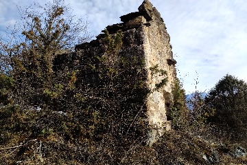 Старый Лейми