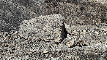 Валун на реке Цесиахк