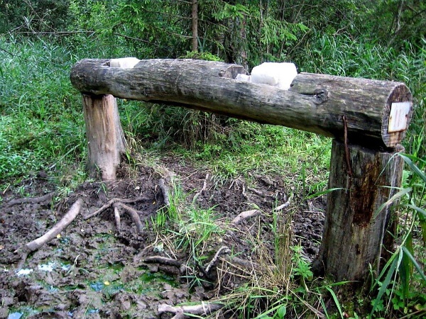 В лесах Сунженского района пополнили запасы кормушек для диких животных.

С наступлением осенне-зимнего периода диким животным становится все сложнее добывать пропитание. Чтобы помочь обитателям леса, егеря и охотоведы республики проводят плановую работу по их подкормке.

Для этого в лесных угодьях обустроены специальные кормовые площадки, запас которых сегодня в очередной раз пополнили.

Что в меню: полезное зерно, соль — необходимый микроэлемент, который укрепляет иммунитет и поддерживает здоровье животных.

Забота ингушских егерей о лесных обитателях — это не сезонная акция, а постоянная, круглогодичная работа!