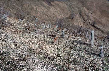 Раннемусульманское захоронение на дороге в  село Шикарой