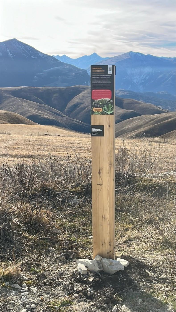 Информационный столб