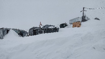 Приют Ветер