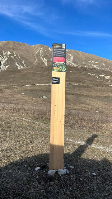 Информационный столб