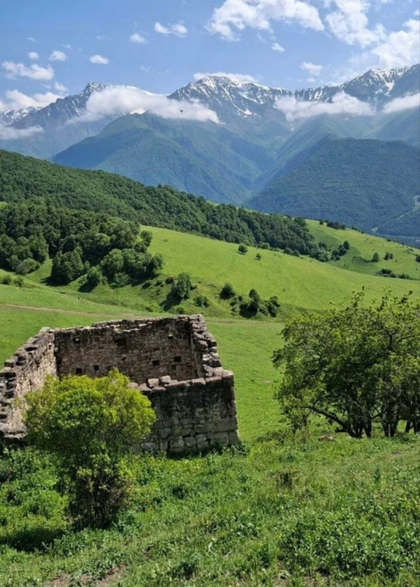 06 февраля в Государственном институте искусствознания открывается XXIV фотовыставка "Неизвестная провинция. Храмовые интерьеры конца XVIII - XIX веков: пропадающие драгоценности".

В этом году на выставке по материалам экспедиций Свода памятников архитектуры и монументального искусства России представлены шедевры иконостасного строительства и убранства храмовых интерьеров Русской Провинции.