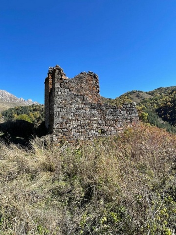 Кашети