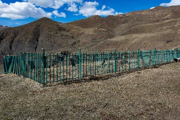 Раннемусульманское захоронение у села Шикарой