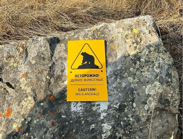 Знак «Осторожно! Дикие животные»