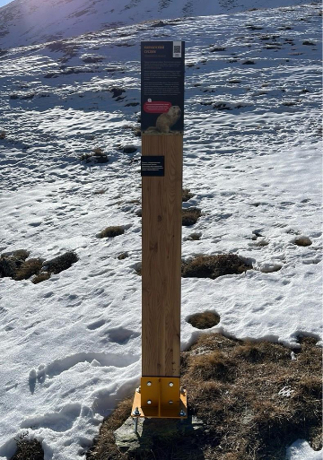 Информационный столб