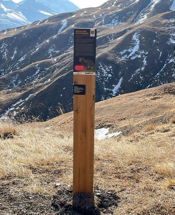 Информационный столб